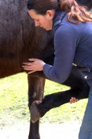 /album/portfolio-osteopatie/img-9245-1-jpg/